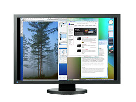 FlexScan SX3031W
